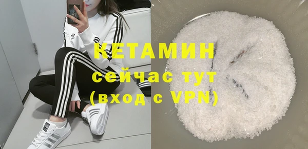 крисы Бородино