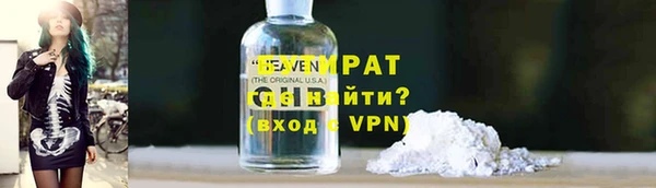 крисы Бородино