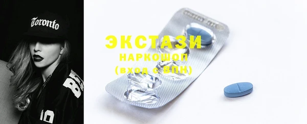 крисы Бородино