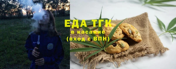 крисы Бородино