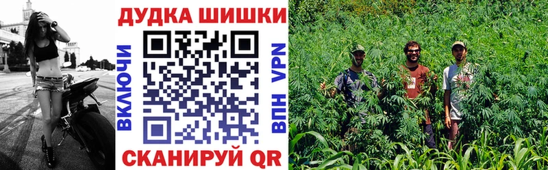 Каннабис конопля  Купить где  Анива 
